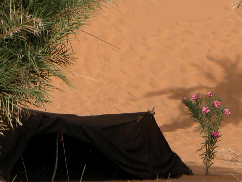 Auberge Africa Merzouga Room photo