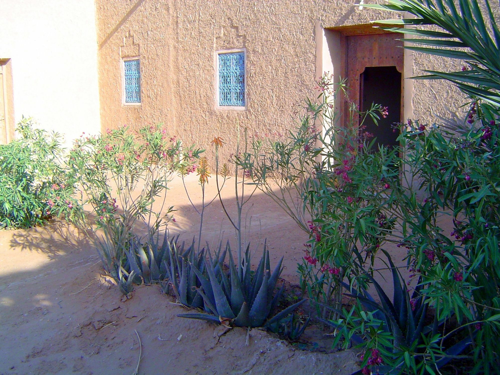 Auberge Africa Merzouga Exterior photo